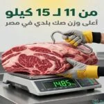 مؤسسة تطبيق سند تطلق موسم الأضاحي 2026