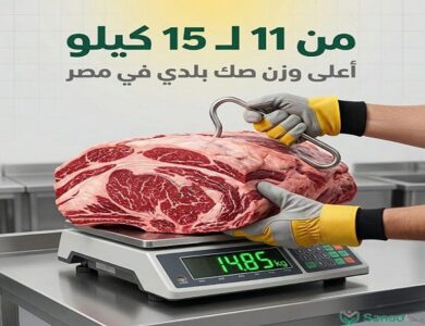 مؤسسة تطبيق سند تطلق موسم الأضاحي 2026