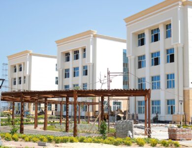 جامعة المنصورة الأهلية