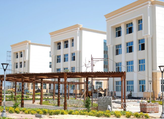 جامعة المنصورة الأهلية