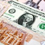 سعر الدولار