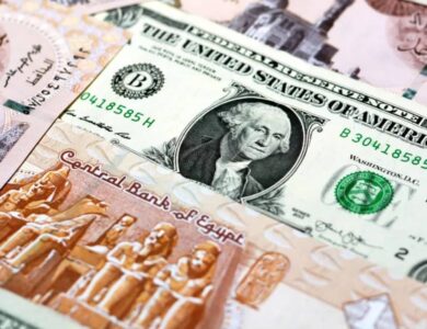 سعر الدولار