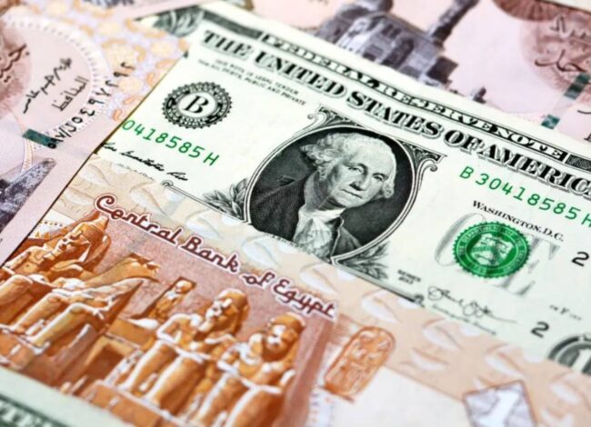 سعر الدولار