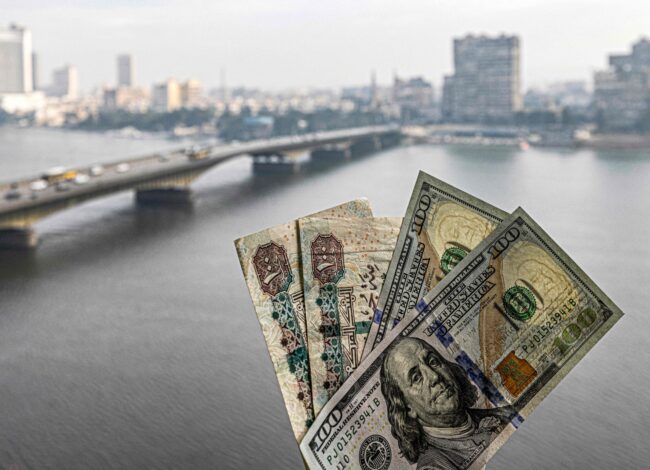 سعر الدولار