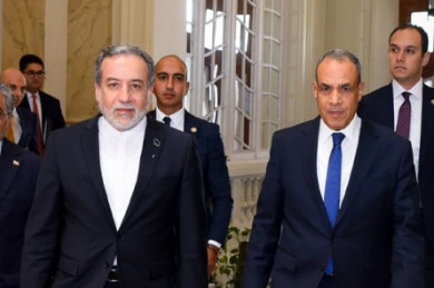 وزير الخارجية المصري ونظيره الإيراني
