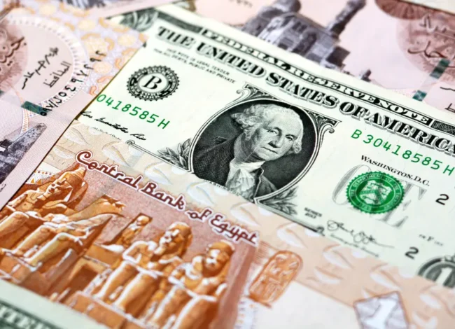 سعر الدولار