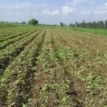 مبادرة مزرعتك في مصر