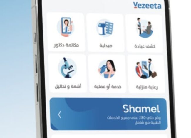 شامل من فيزيتا