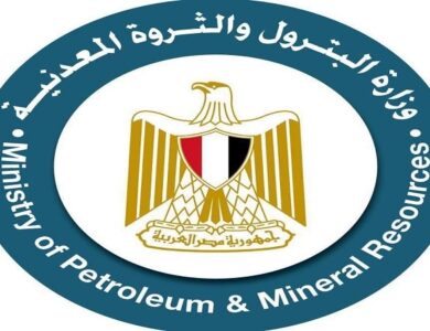 وزارة البترول والثروة المعدنية