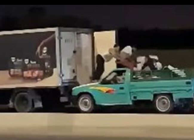 شركة الأهرام للدواجن