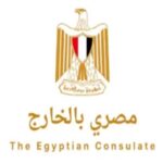 تطبيق مصري بالخارج