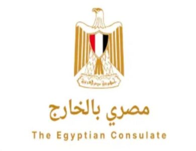 تطبيق مصري بالخارج