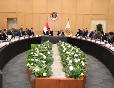 وزيرا الصناعة والاستثمار والتجارة الخارجية يبحثان مع منتجي الحديد ومصانع الدرفلة تحديات القطاع الحديد