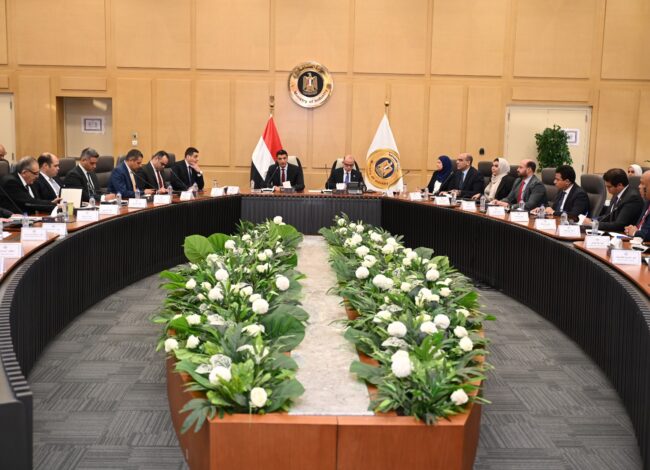 وزيرا الصناعة والاستثمار والتجارة الخارجية يبحثان مع منتجي الحديد ومصانع الدرفلة تحديات القطاع الحديد