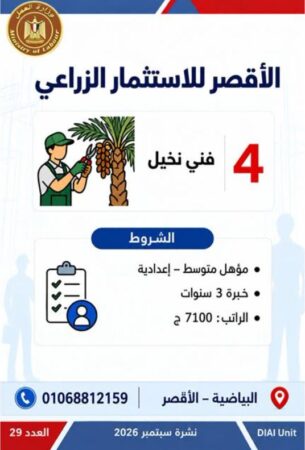 طرح 958 فرصة عمل جديدة في 43 شركة خاصة داخل 12 محافظة