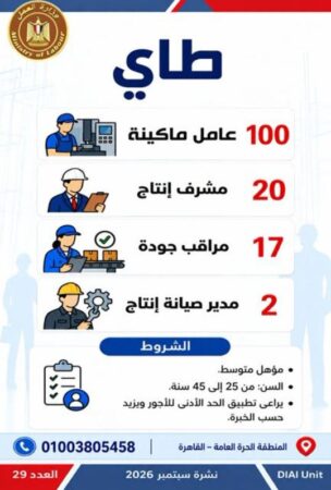 طرح 958 فرصة عمل جديدة في 43 شركة خاصة داخل 12 محافظة