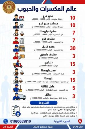 طرح 958 فرصة عمل جديدة في 43 شركة خاصة داخل 12 محافظة