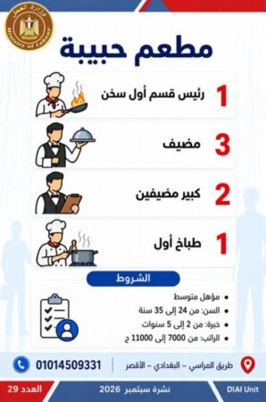 طرح 958 فرصة عمل جديدة في 43 شركة خاصة داخل 12 محافظة