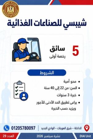 طرح 958 فرصة عمل جديدة في 43 شركة خاصة داخل 12 محافظة
