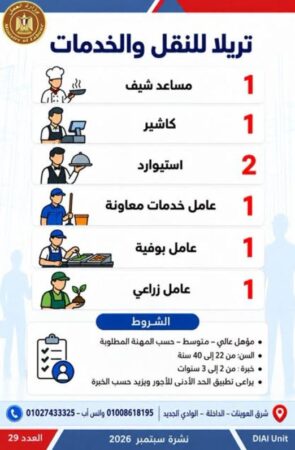 طرح 958 فرصة عمل جديدة في 43 شركة خاصة داخل 12 محافظة