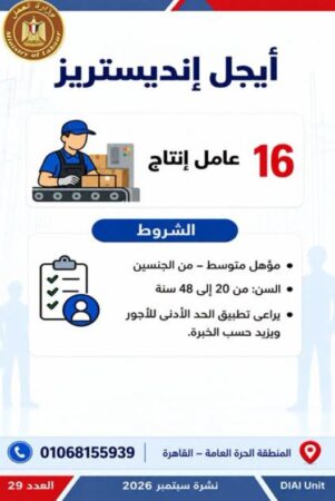 طرح 958 فرصة عمل جديدة في 43 شركة خاصة داخل 12 محافظة
