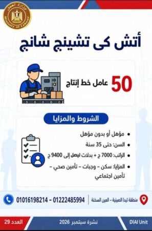 طرح 958 فرصة عمل جديدة في 43 شركة خاصة داخل 12 محافظة
