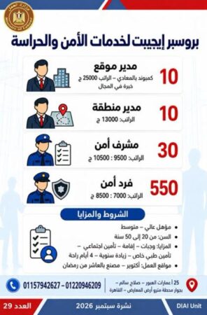 طرح 958 فرصة عمل جديدة في 43 شركة خاصة داخل 12 محافظة