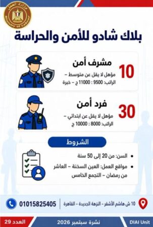 طرح 958 فرصة عمل جديدة في 43 شركة خاصة داخل 12 محافظة