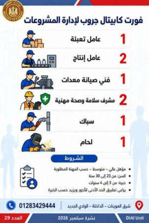 طرح 958 فرصة عمل جديدة في 43 شركة خاصة داخل 12 محافظة