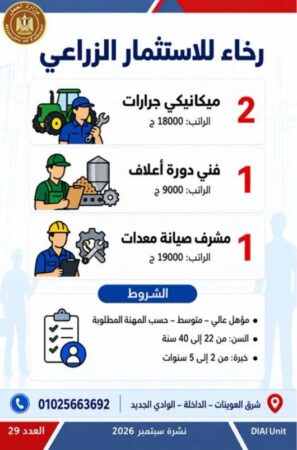 طرح 958 فرصة عمل جديدة في 43 شركة خاصة داخل 12 محافظة